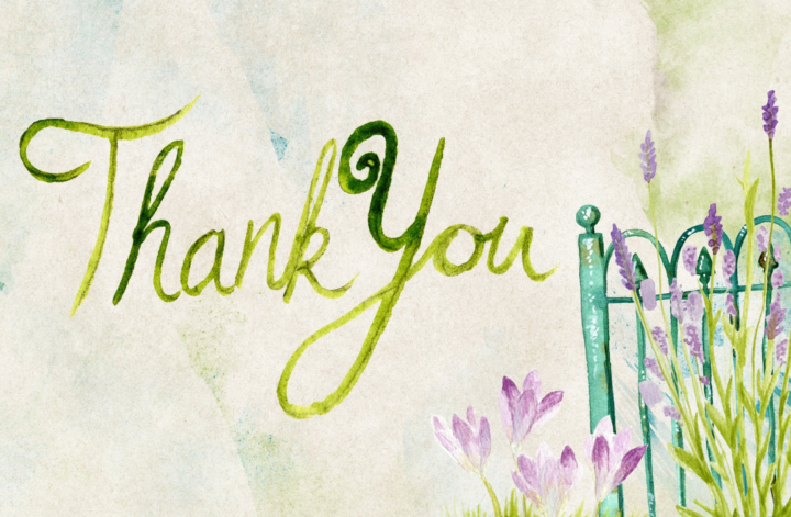 How Can Gratitude Lead You From Lack to Abundance?